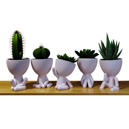 robert, planta, macetero, maceta, 3d